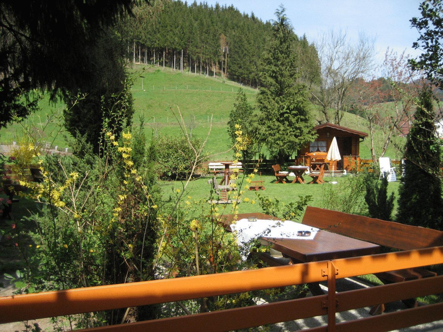 Hotel Restaurant Albans Sonne Bad Rippoldsau-Schapbach Exterior photo
